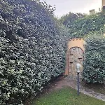 Gaia וילסימיוס